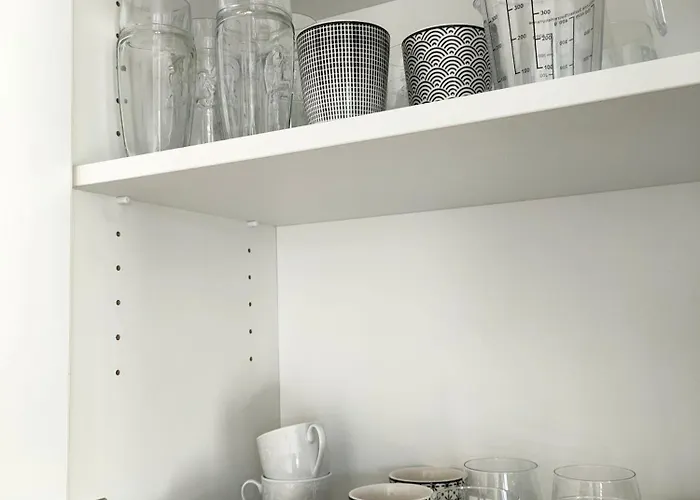 Oak Columna * Cluj-Napoca